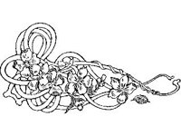 DSGN1627.jpg