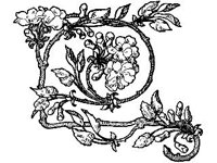 DSGN1620.jpg