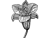DSGN1613.jpg
