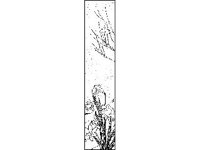 DSGN1593.jpg