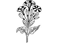 DSGN1591.jpg