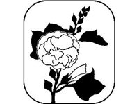 DSGN1586.jpg