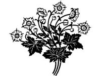DSGN1585.jpg