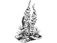 DSGN1582.jpg