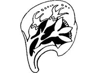 DSGN1576.jpg