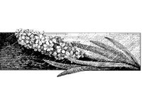 DSGN1516.jpg