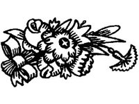 DSGN1483.jpg