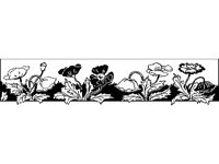 DSGN1482.jpg