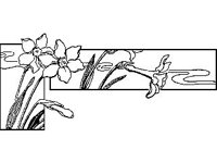 DSGN1476.jpg