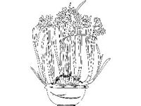 DSGN1457.jpg