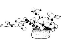 DSGN1446.jpg