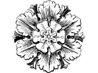 DSGN1408.jpg