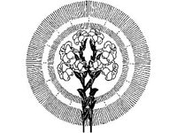 DSGN1405.jpg