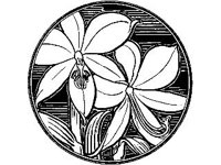 DSGN1397.jpg