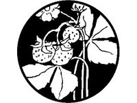 DSGN1802.jpg