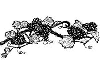 DSGN1781.jpg