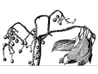 DSGN1752.jpg