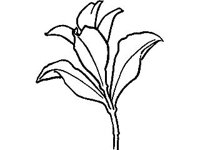 DSGN1841.jpg