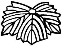 DSGN1839.jpg