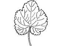 DSGN1814.jpg