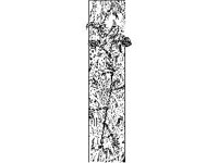 DSGN2062.jpg