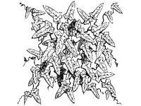 DSGN2035.jpg