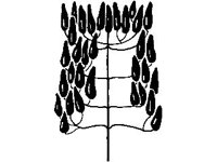 DSGN1993.jpg
