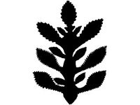 DSGN1980.jpg