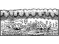 DSGN1966.jpg