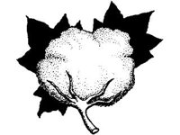 DSGN1928.jpg