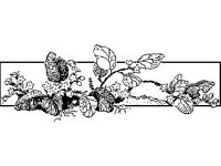 DSGN1877.jpg