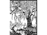 DSGN2291.jpg