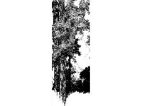 DSGN2289.jpg