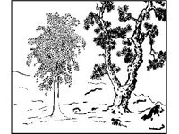DSGN2287.jpg
