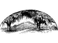 DSGN2286.jpg