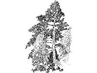 DSGN2279.jpg