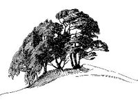 DSGN2274.jpg