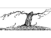 DSGN2253.jpg