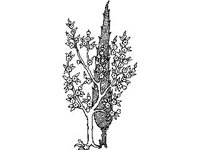 DSGN2237.jpg