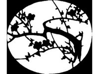 DSGN2234.jpg