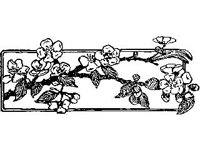 DSGN2220.jpg