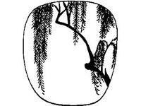 DSGN2212.jpg