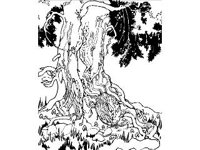 DSGN2210.jpg