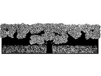 DSGN2196.jpg