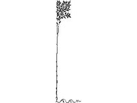 DSGN2194.jpg