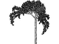 DSGN2174.jpg