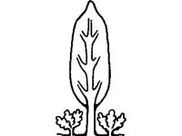 DSGN2162.jpg