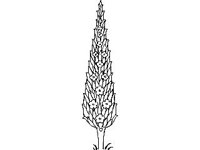 DSGN2146.jpg