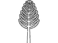 DSGN2105.jpg