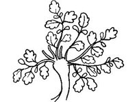 DSGN2096.jpg